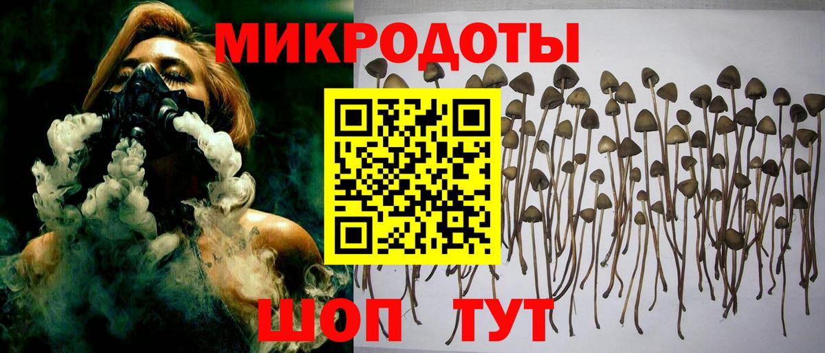 Псилоцибиновые грибы мицелий  Псилоцибиновые грибы мухоморы  закладка  Вход с VPN  Искитим 