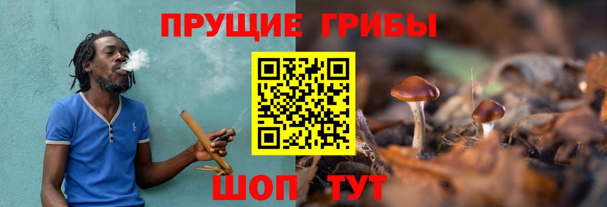 Псилоцибиновые грибы MAGIC MUSHROOMS Искитим
